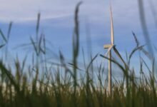 digital solutions for growth