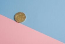 intelligent digital systems growth