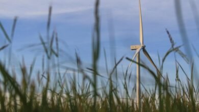 intelligent tech solutions growth