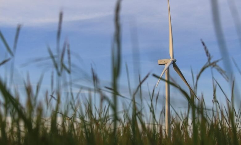 intelligent tech solutions growth